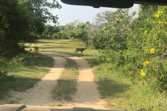 A Multi Day Tour Around Sri Lanka with Our Personal Driver - Who this Sri Lanka personal driver tour suits best