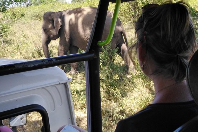 A Udawalawa Park safari, Tour from Colombo/Galle- (All inclusive) - Key Things That Make This Udawalawe Day Trip Work