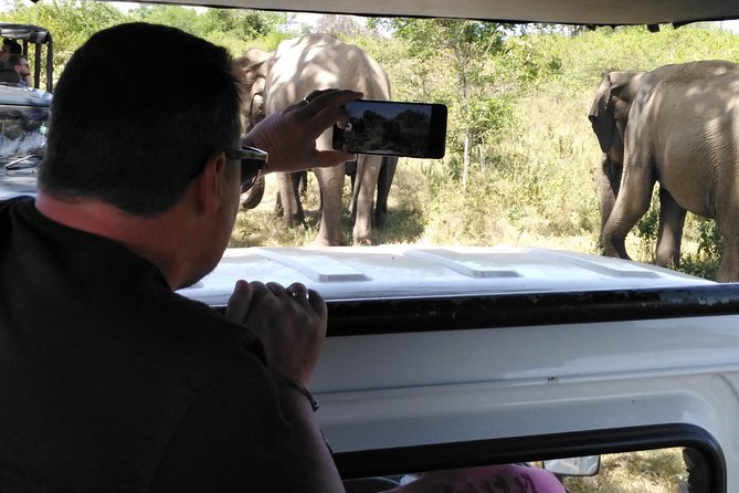 A Udawalawa Park safari, Tour from Colombo/Galle- (All inclusive) - Why Udawalawe Works as a One-Day Wildlife Trip From Colombo