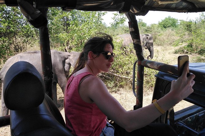 A Udawalawa Park safari, Tour from Colombo/Galle- (All inclusive) - What to Know Before You Go: Timing, Comfort, and Weather