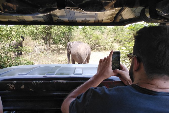 A Udawalawa Park safari, Tour from Colombo/Galle- (All inclusive) - Price and Value: Is $195 Per Person Worth It?