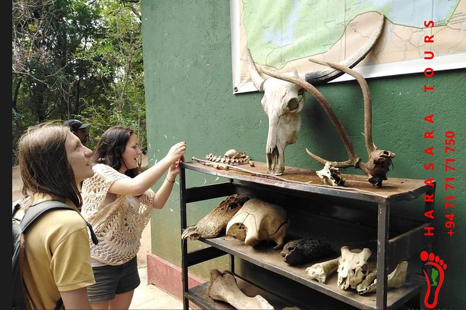 A Udawalawa Park safari, Tour from Colombo/Galle- (All inclusive) - Who This Private Udawalawe Day Trip Fits Best