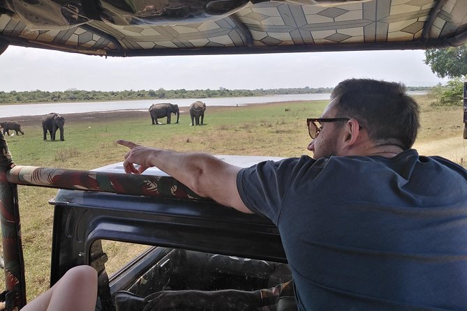 A Udawalawa Park safari, Tour from Colombo/Galle- (All inclusive) - The All-Inclusive Setup: Pickup, Private 4WD, and Lunch