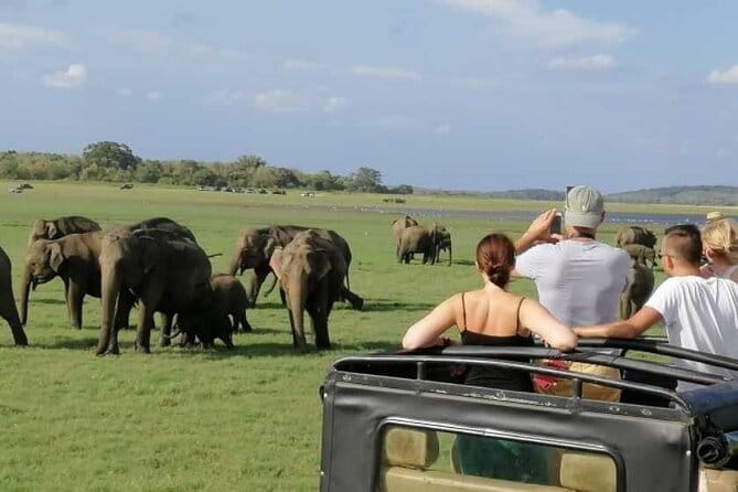 Adventure 2 days trip from trinco to sigiriya, with wild safari - Price check: is $220 good value for this packed 2-day trip