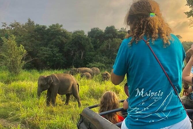 Adventure safari Experience in Hurulu Eco Park, Sri Lanka - Key highlights worth your attention