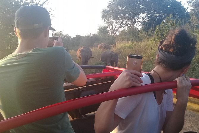 Adventure trincomalee to sigiriya and wild safari ,village tour - How the private driver setup affects your comfort