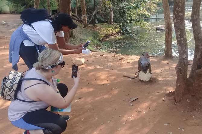 Adventure trincomalee to sigiriya and wild safari ,village tour - Pacing and packing tips for two hikes plus safari