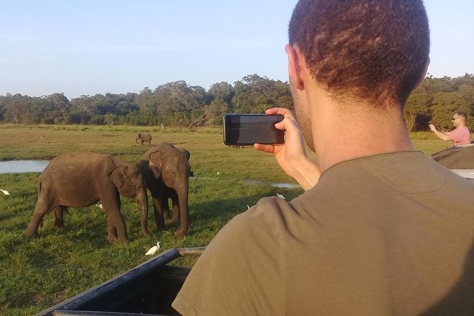 Adventure trincomalee to sigiriya and wild safari ,village tour - Weather, cancellations, and what to do if plans change
