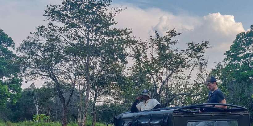 Ahangama: Udawalawe National Park Safari with Hotel Pickup - Key takeaways before you go