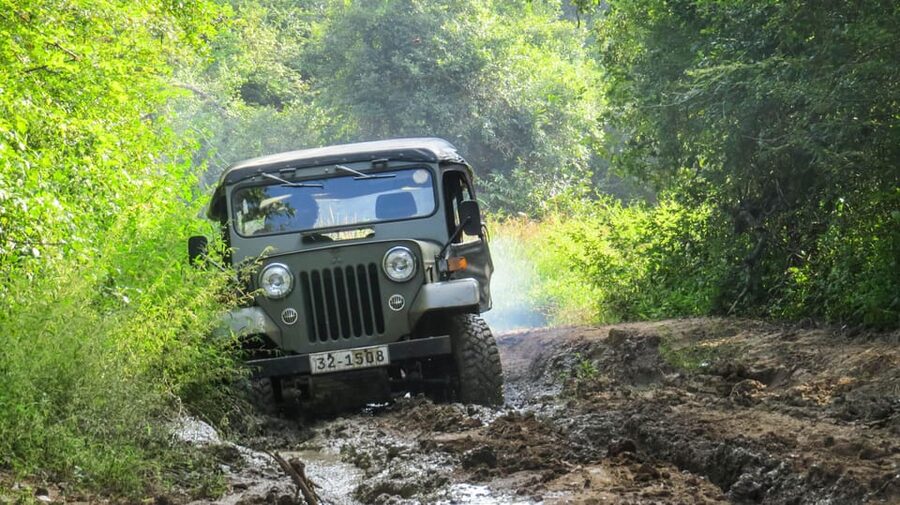 Ahangama: Udawalawe National Park Safari with Hotel Pickup - Elephant-Watching Tips That Make the Safari Better