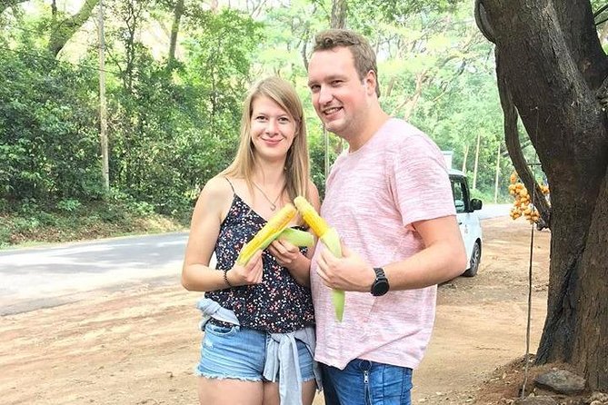 Air port Pick up and Drop to Kandy - Optional Tea, Snacks, and Sightseeing Stops Without Losing Your Momentum