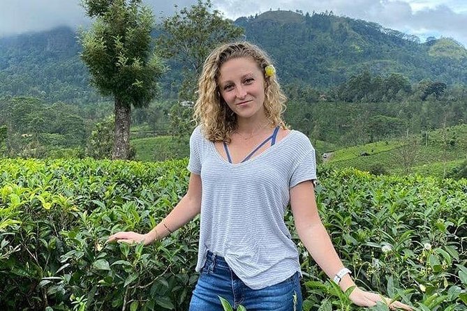 Air port Pick up and Drop to Kandy - Value and Price: What $70 Per Group Really Buys You