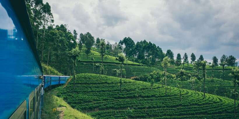 All Inclusive Ella From/To Kandy Scenic Train Journey - What you actually get onboard: seats, food, and one drink of choice