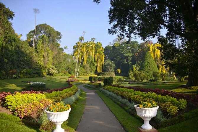 All Inclusive Kandy Private Day Tour From Colombo and Negombo - Stop 4: Udawattekele Sanctuary, the forest reserve pause