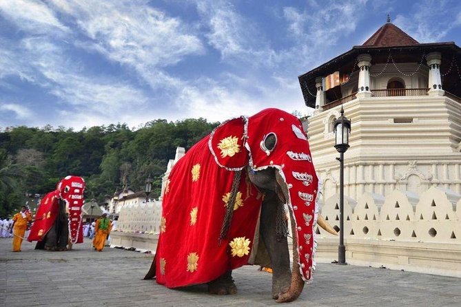 All Inclusive Kandy Private Day Tour From Colombo and Negombo - Stop 6: Kandy View Point (short but useful)