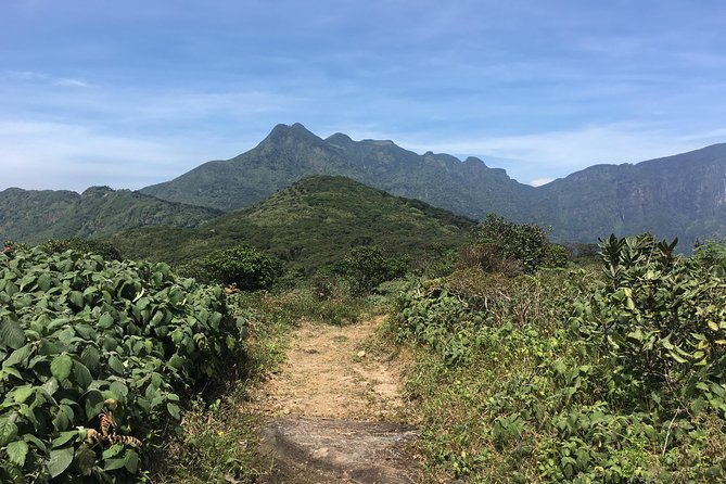 All Inclusive Knuckles Day Track With Accommodation - Key things that make this Knuckles day trek stand out