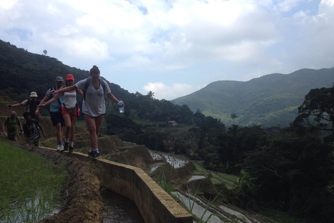 All Inclusive Knuckles Day Track With Accommodation - The trek route: tea plantations, pygmy forest, cloud forest, summit