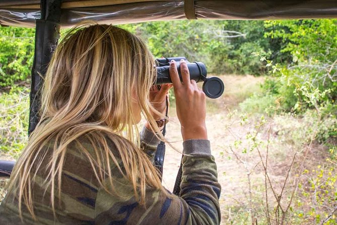 All Inclusive Leopard Nest Treehouse Safari in Yala - The treehouse and tent stay: luxe comfort with a safari mindset
