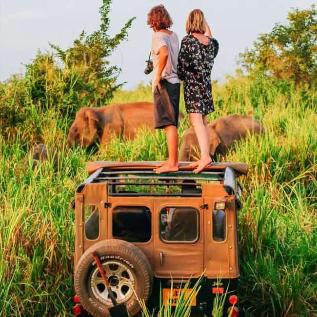 All-Inclusive Minneriya National Park Afternoon Safari - How the drive feels: jeep style, comfort, and animal distance