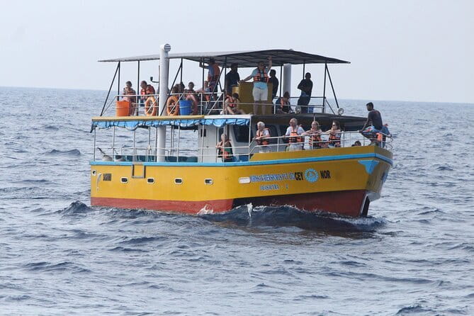 All Inclusive Mirissa Whale and Dolphin Watching Boat Ride - Key highlights to look for