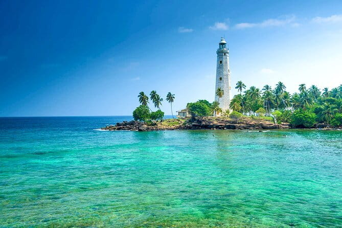 All Inclusive Mirissa Whale and Dolphin Watching Boat Ride - Pickup, Crew Coordination, and Those Small Stress Fixes