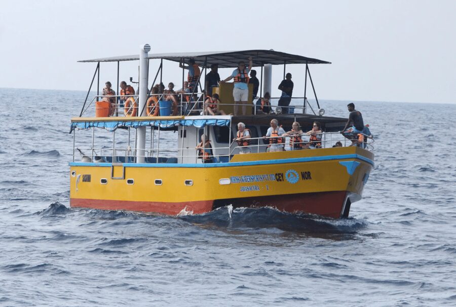 All Inclusive Mirissa Whale & Dolphin Watching + Snorkeling - Who should book this tour in Kotapola