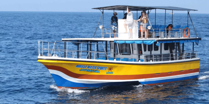 All Inclusive Mirissa Whale & Dolphin Watching + Snorkeling - From Mirissa to Kotapola: the dawn plan and how you get there