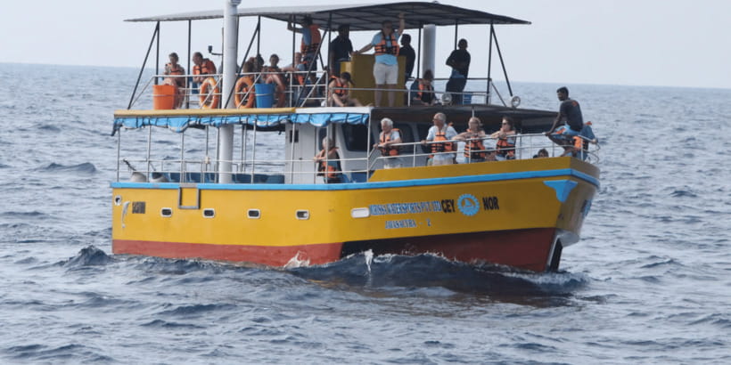 All Inclusive Mirissa Whale & Dolphin Watching + Snorkeling - Marine life etiquette: the rule that keeps this humane