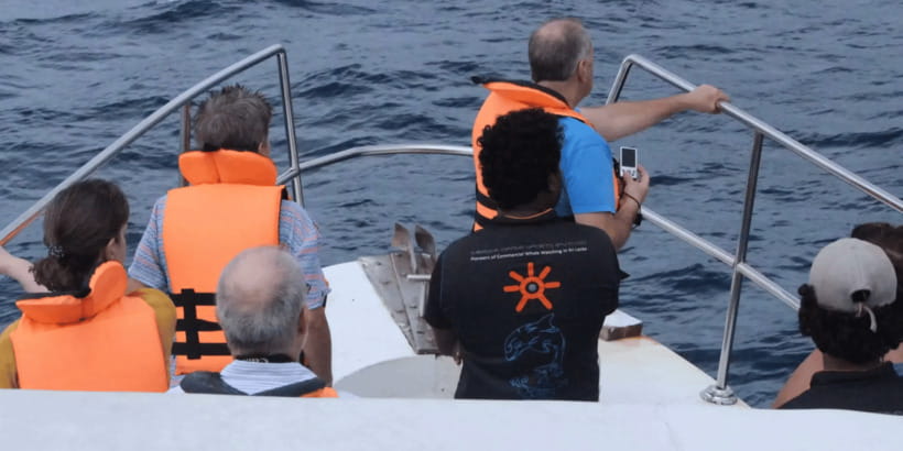 All Inclusive Mirissa Whale & Dolphin Watching + Snorkeling - If the sea turns rough: why safety changes the plan