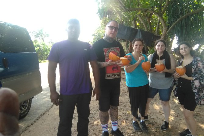 All inclusive Private Day tour Sigiriya, Dambulla & traditional village tour - Traditional village cooking and rides, bull cart and catamaran lake time