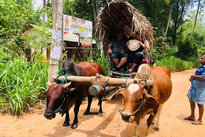 All inclusive Private Day tour Sigiriya, Dambulla & traditional village tour - Getting comfortable on the road, and what to pack for comfort