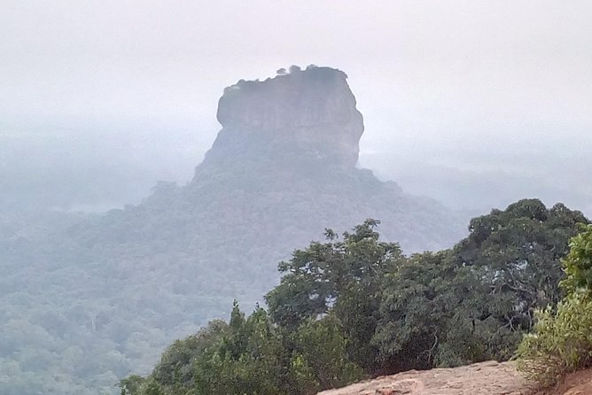 All inclusive Private day trip Sigiriya and Dambulla caves with more - Who this private tour is best for