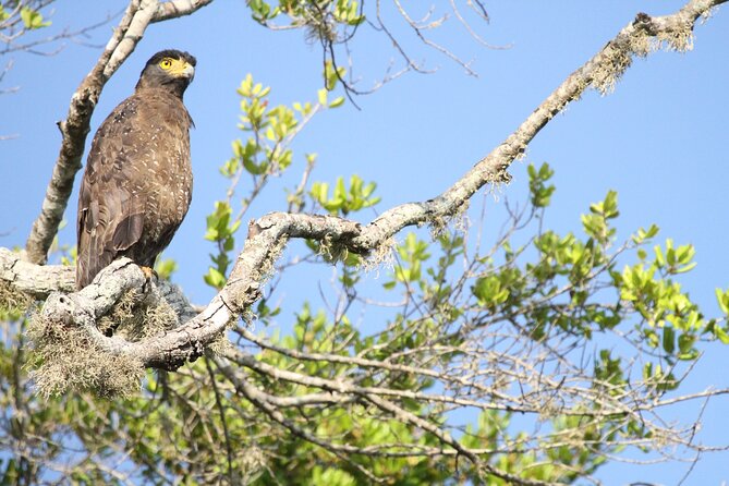 All Inclusive Private Safari in Minneriya National Park - Key Points Worth Knowing Before You Go
