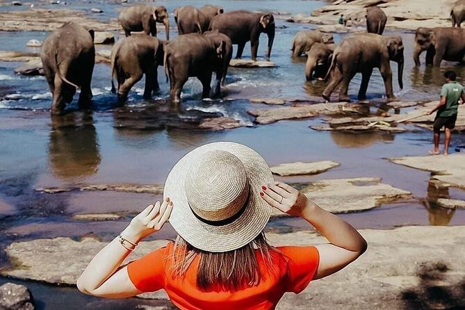 All-Inclusive Private tour in Sri Lankan Island 9 Day HB hotels - Key points before you book