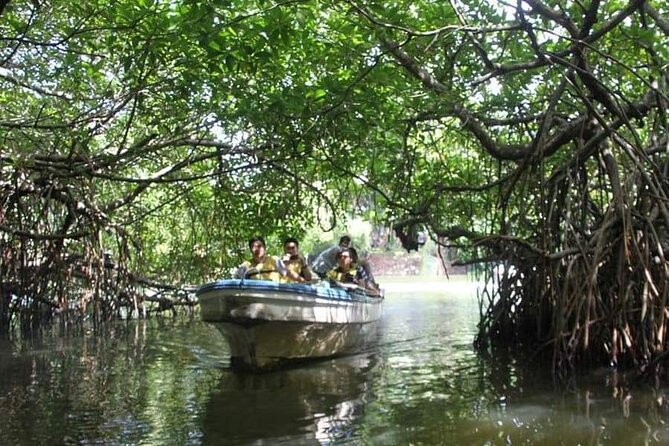 All-Inclusive Private tour in Sri Lankan Island 9 Day HB hotels - Day 3: Polonnaruwa ruins, Hiriwadunna bullock cart ride, and Minneriya elephants