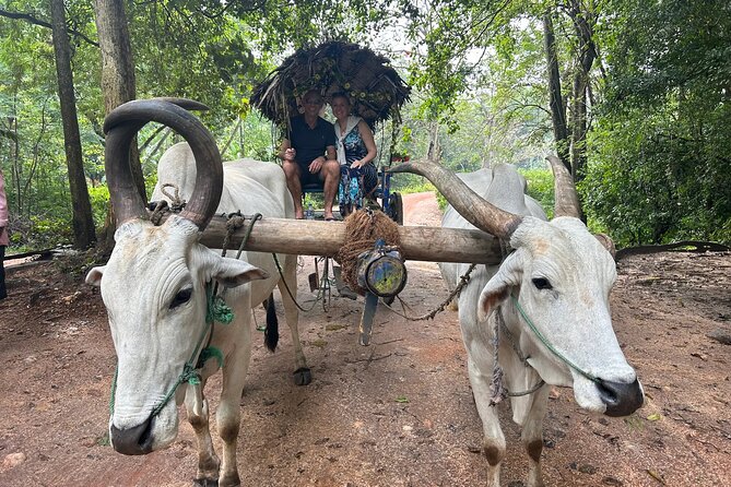 All of Sri Lanka within 10 Days - Price and What Your $800 Covers in the Real World