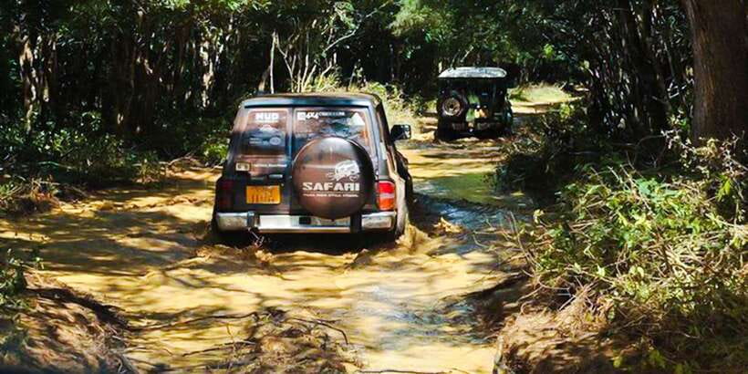 Anuradhapura: Full-Day Wilpattu All Inclusive Private Safari - Picnic lunch inside the park, not afterthought food
