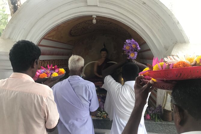 Anuradhapura Heritage Mountain bike / bicycle Tour - Should you book this Anuradhapura Heritage mountain bike tour?