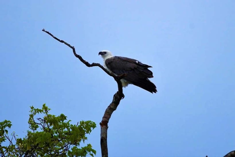 Arugambay :Pottuvil Lagoon Mangrove Eco Boat Safari Tours - Sunrise or Sunset, Plus a Beach Stop That Breaks the Day Up