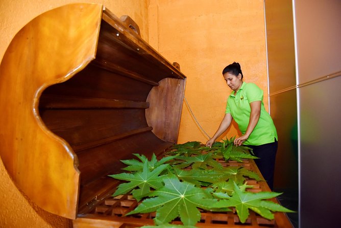 Ayurveda Day Package - Quick reasons this one-day Ayurveda package works