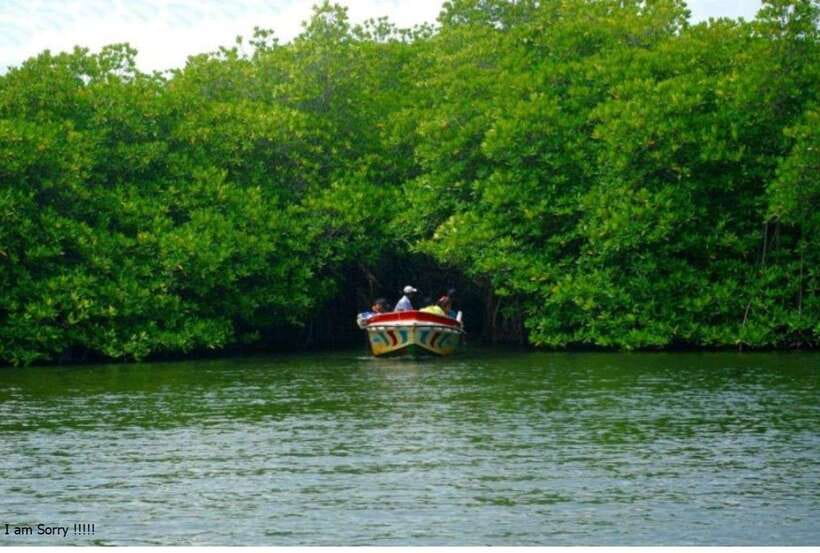 Bentota: All Inclusive Galle Dutch Fort & Madu River Safari - Cinnamon Island, Temple Island, and Fish Therapy During the Boat Ride