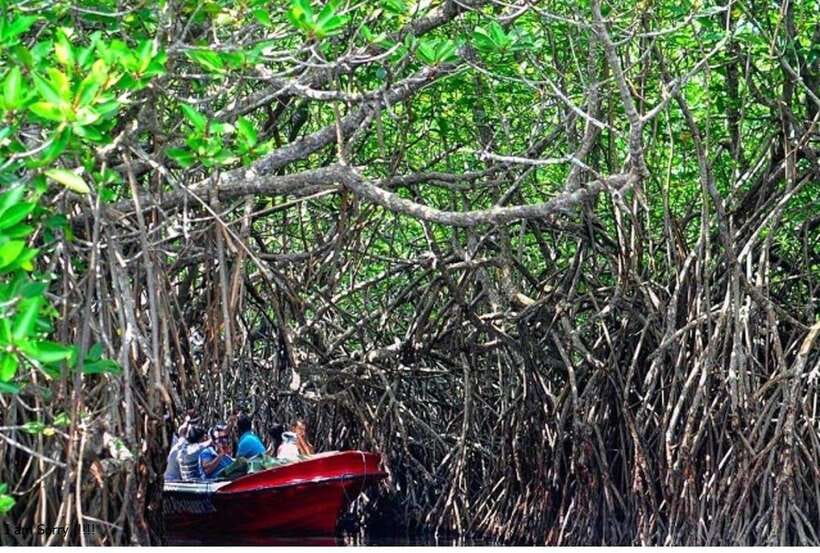 Bentota: All Inclusive Galle Dutch Fort & Madu River Safari - Who This Tour Suits Best, and Who Might Want a Different Plan