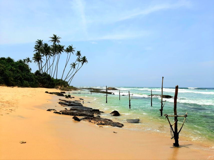 Bentota beach, River Mangroves lagoon, Wildlife Tour - Who should book this tour, and who might prefer something else