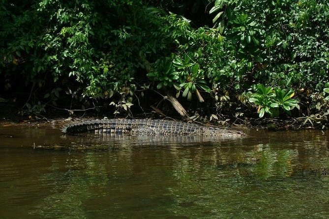 Bentota River Boat Safari with Private Boat Beruwala/Bentota/Kosgoda/Ahungalla - Where this Bentota river safari fits in your Sri Lanka plans