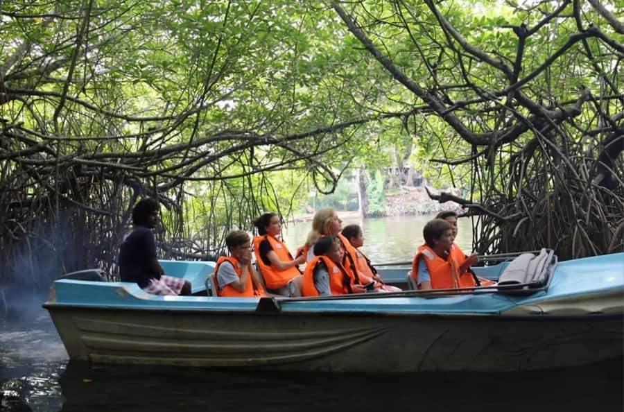 Bentota River Safari -Ahungalla/Bentota/Aluthgama/Kosgoda - How this Bentota river safari fits a 1-day plan near the coast
