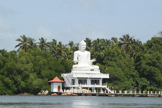 Bentota River Safari By BTM (Mangrove & Wildlife Encounter) - Key highlights you should care about
