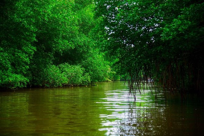 Bentota River Safari By BTM (Mangrove & Wildlife Encounter) - Pickup, private timing, and the small logistics that matter