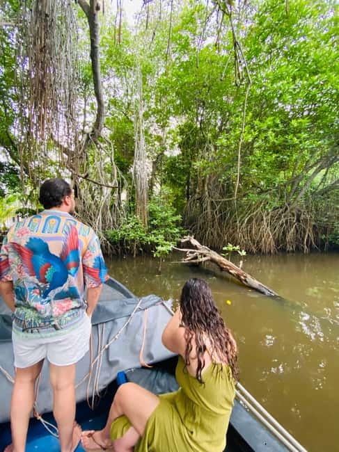 Bentota River Safari: Discover Wildlife & Mangroves by Boat - Mangroves and river life: why this ecosystem experience matters