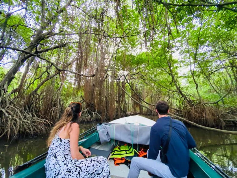 Bentota River Safari: Discover Wildlife & Mangroves by Boat - Should you book Bentota River Safari?