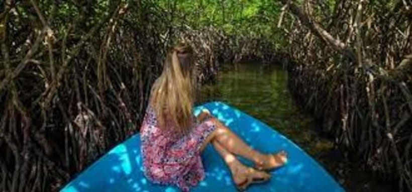 Bentota: River Safari with Hotel Pickup and Drop-Off - Bentota River safari in 2 hours: river, reservoir, lagoon